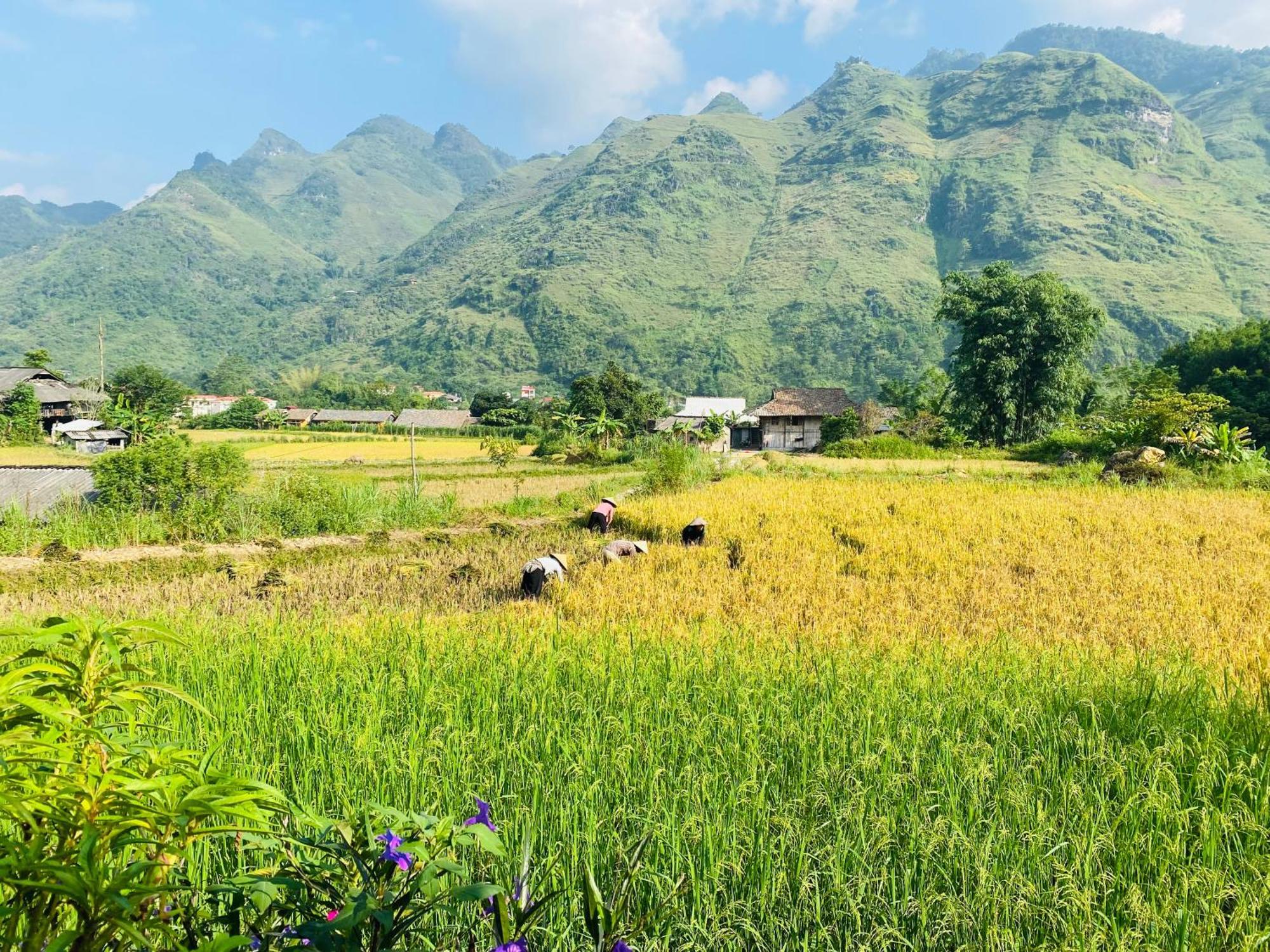 Du Gia Field View Homestay Làng Cac Екстериор снимка