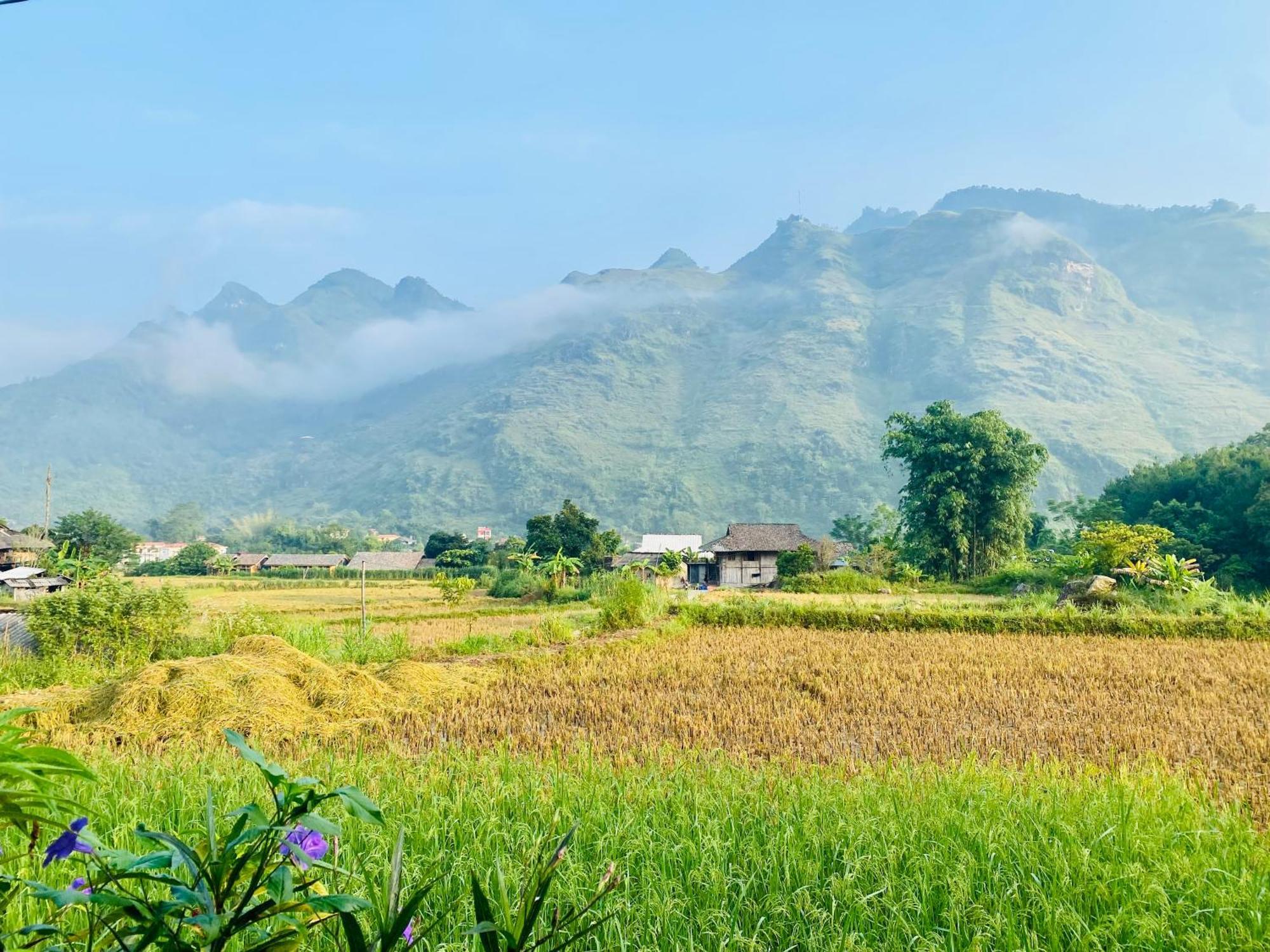 Du Gia Field View Homestay Làng Cac Екстериор снимка