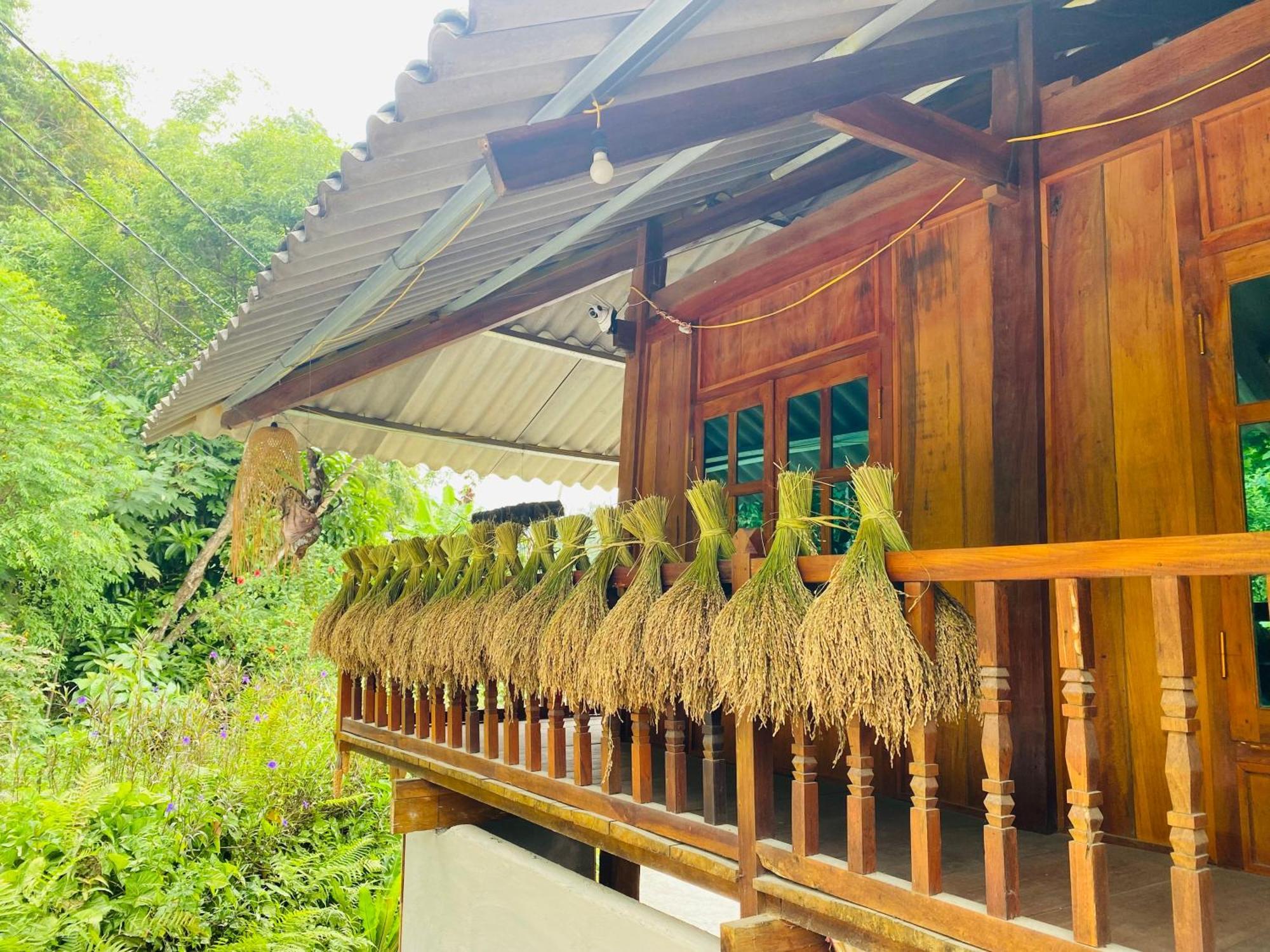 Du Gia Field View Homestay Làng Cac Екстериор снимка