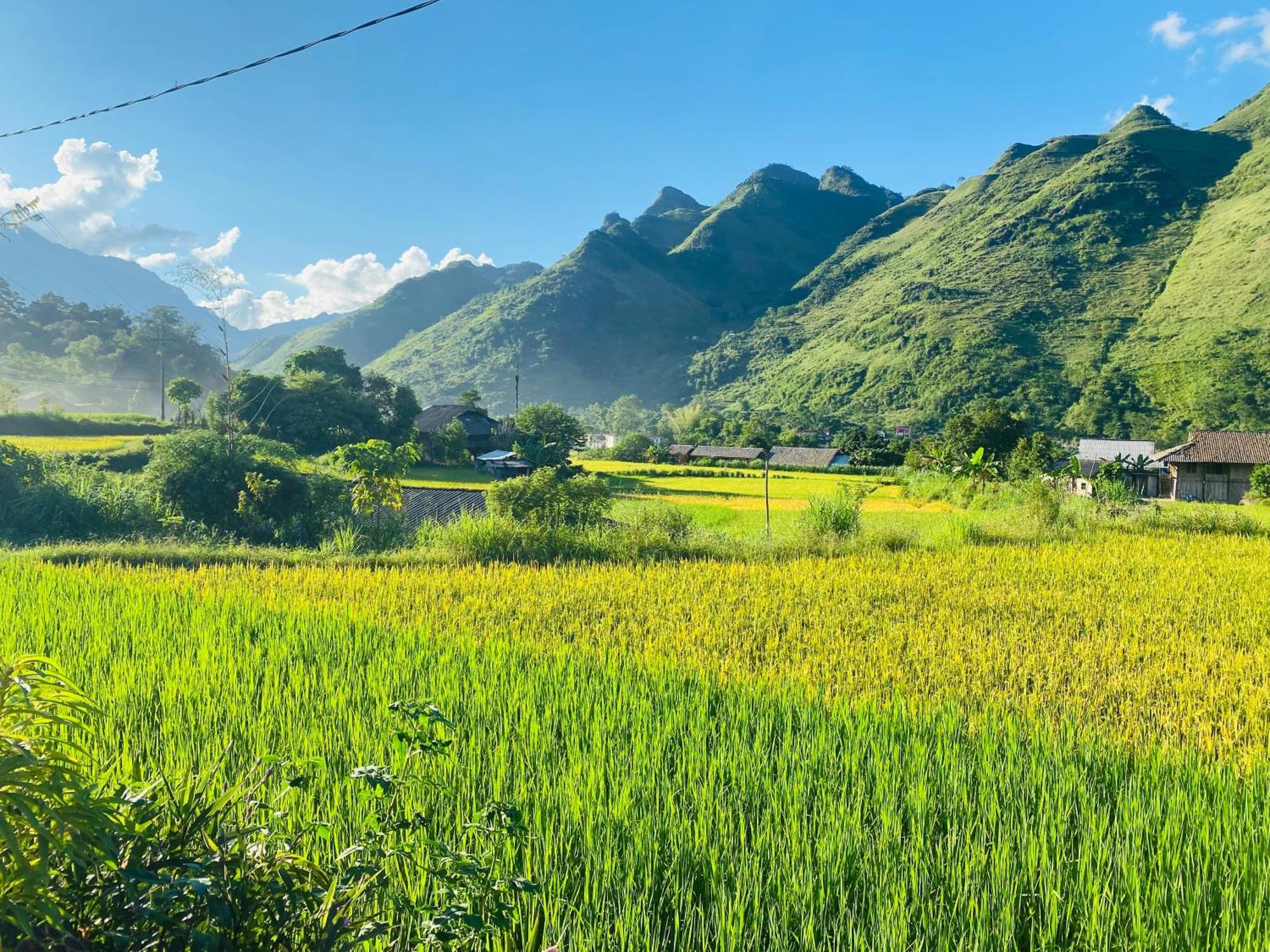 Du Gia Field View Homestay Làng Cac Екстериор снимка