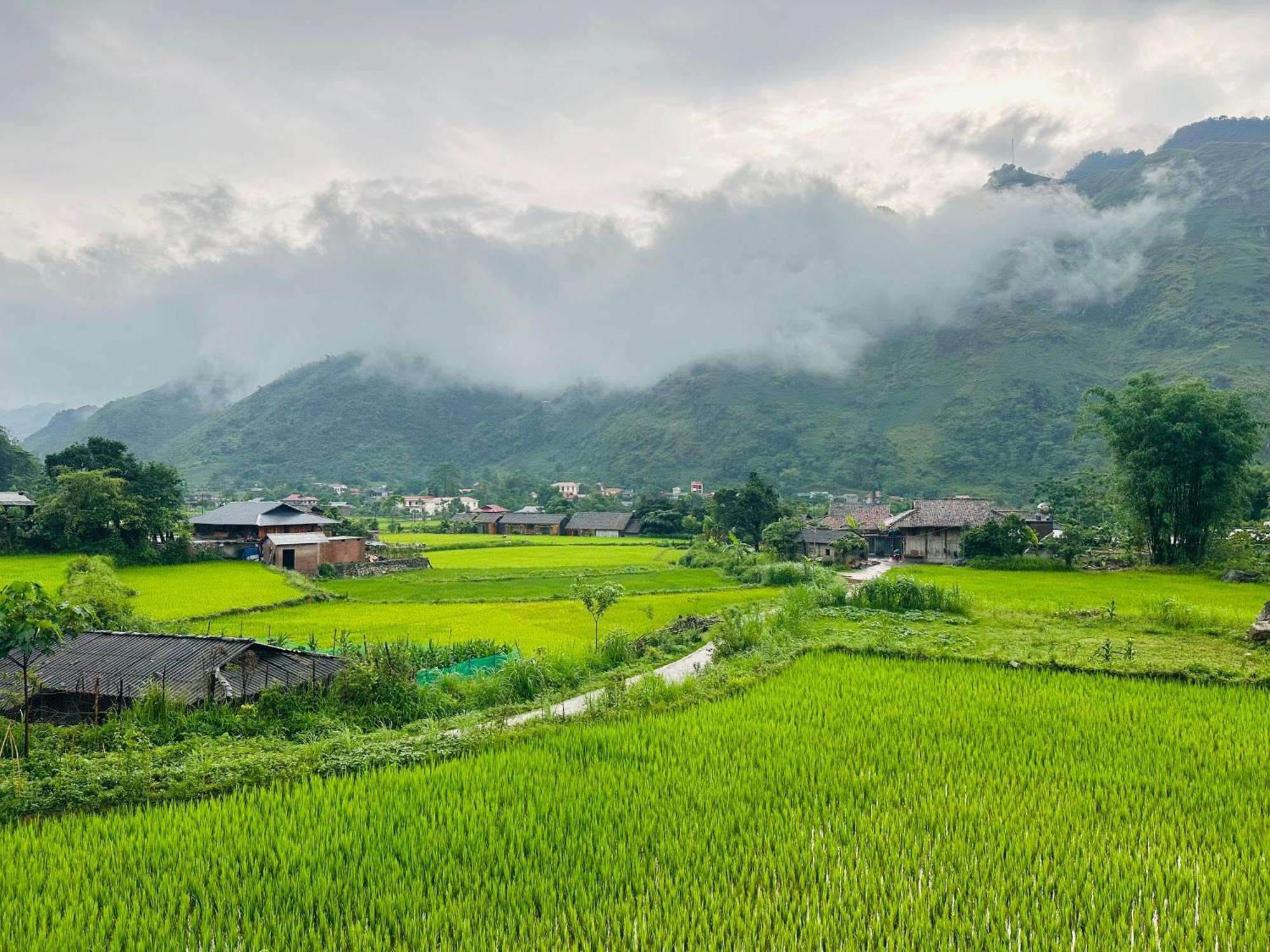 Du Gia Field View Homestay Làng Cac Екстериор снимка