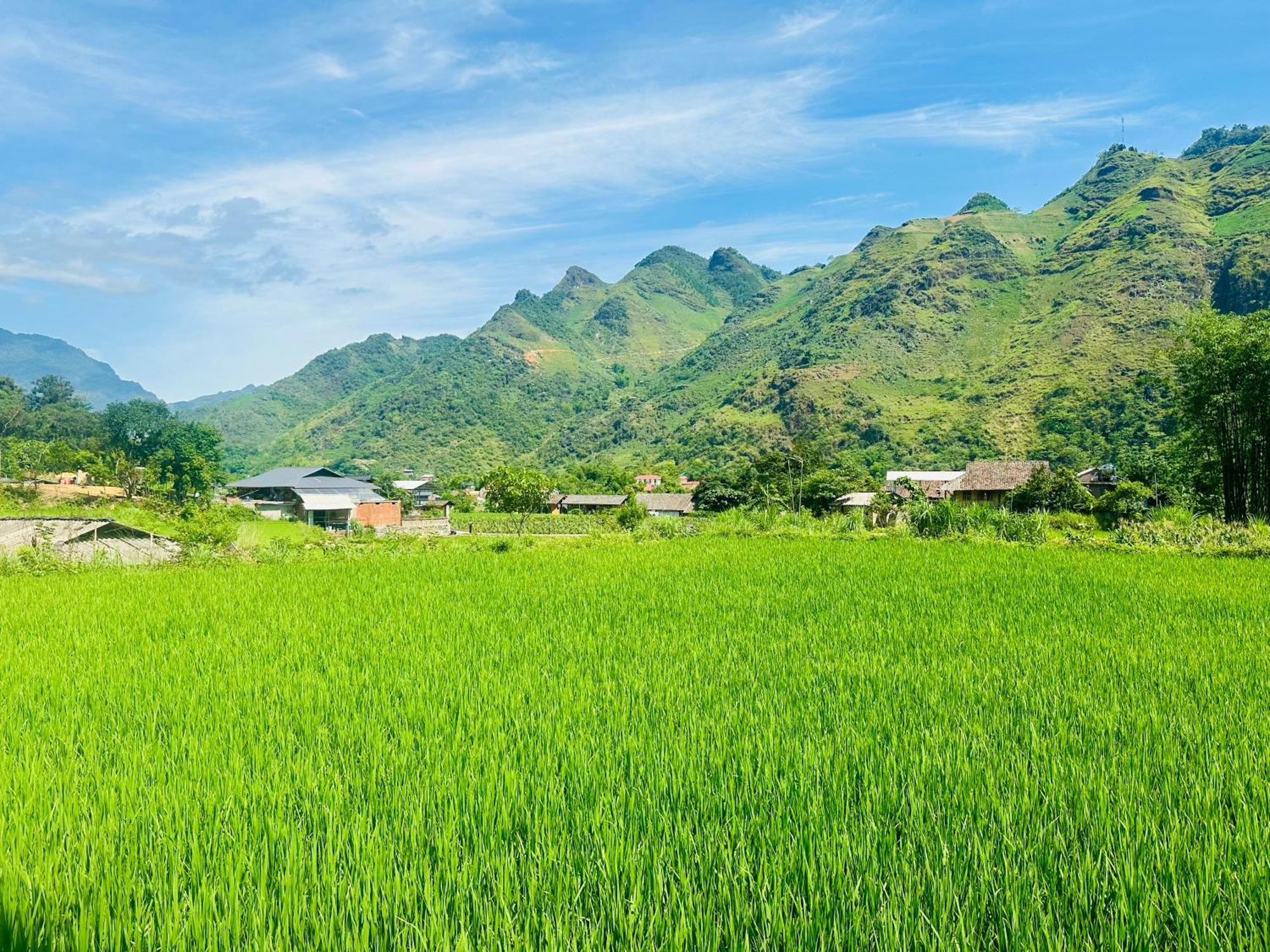 Du Gia Field View Homestay Làng Cac Екстериор снимка